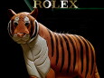 ロレックスの虎