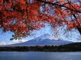 富士山に紅葉