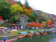 嵐山19年11月29日