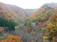 紅葉 山 秋