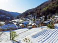 初雪 山里から2