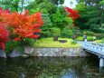 徳川園19年12月6日