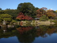 上之池の紅葉