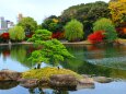 徳川園19年12月6日