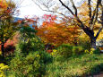 晩秋の日比谷公園・20