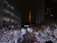 イルミと東京タワー