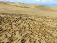 鳥取砂丘 冬 砂と風の造形