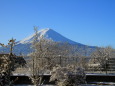 今朝の富士山雪景色