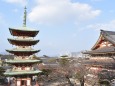 耕三寺 五重塔