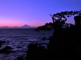 千貫松と富士山