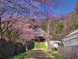 春の西方寺