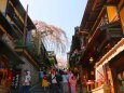 桜の京都の街並み