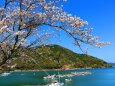 東紀州春の海