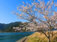 春の東紀州の海