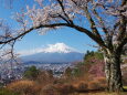 孝徳公園からの富士山