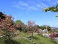 静かな公園