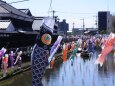 2019年4月の巴波川