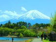新緑と富士山