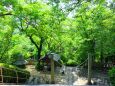 新緑の倉敷の神社