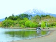 新緑と富士山