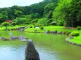 新緑の日本庭園