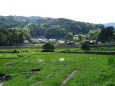 広がる緑と初夏の山村