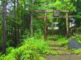 雨の熊野古道