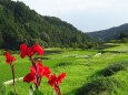 梅雨中休み緑の山間部