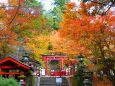 談山神社