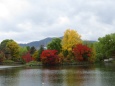 中島公園 菖蒲池