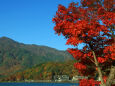 河口湖の紅葉