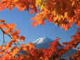 紅葉の中の富士山
