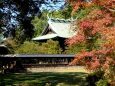 久留米城跡神社の紅葉