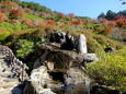 紅葉巡りの山