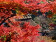 山寺の紅葉