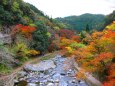 京都高雄