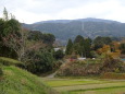 初冬の里山風景