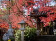 かえる寺 冬至の残り紅葉