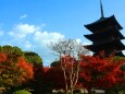 東寺