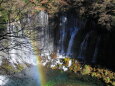 白糸の滝に虹