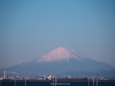 海からの富士山