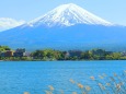 迎春 富士山