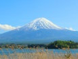 迎春 富士山