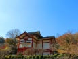 奈良長谷寺
