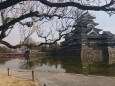 初春の国宝松本城