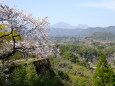 桜の岡城址から九重連山