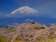 春の富士の嶺