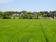 田舎の春景色