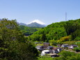 新緑の山並みと富士山
