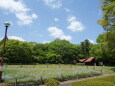 花のある風景